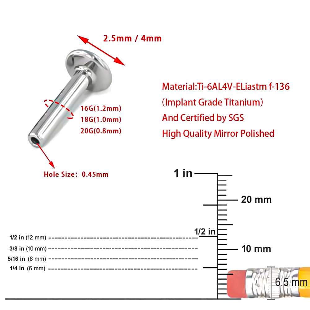 Brand New 10-Piece Set F136 Ti - Body Jewelry Brands ulasan dan harga