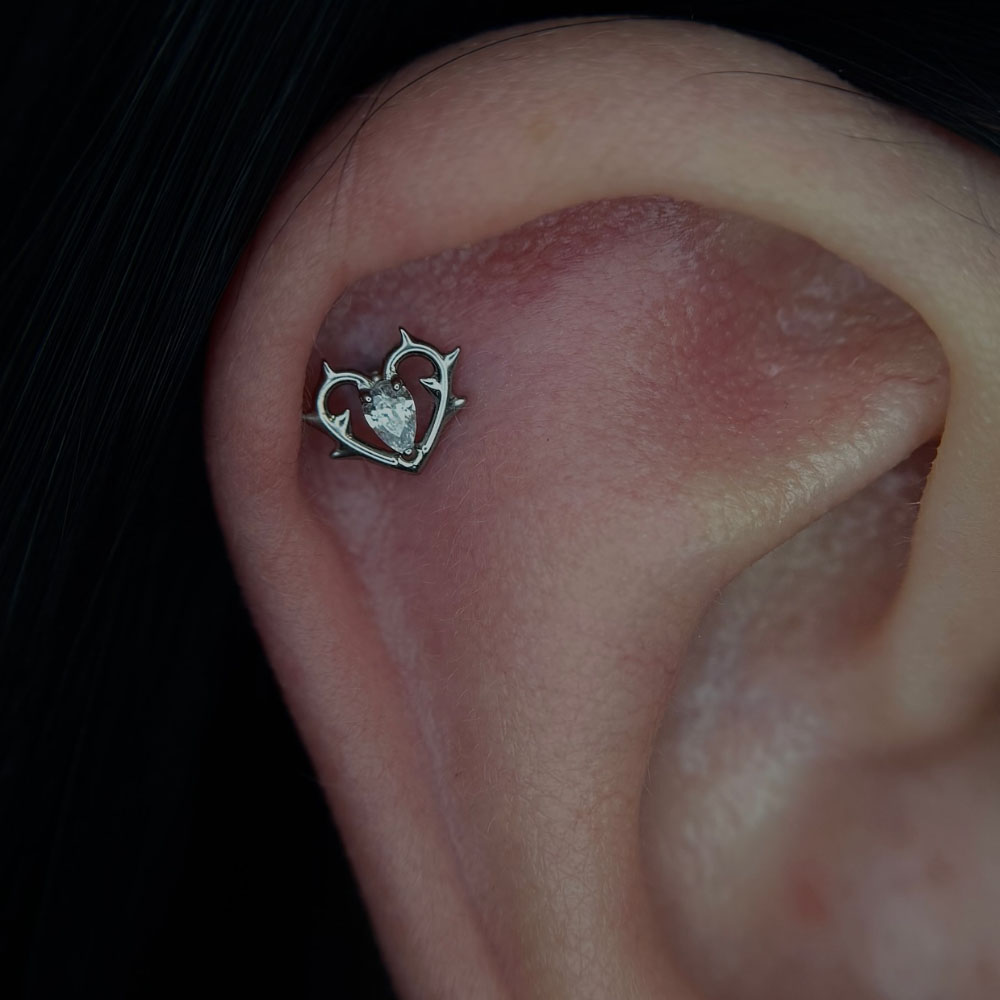 16G ASTM F‑136 G23 Titanium In - Body Jewelry Internally Threaded ulasan dan harga